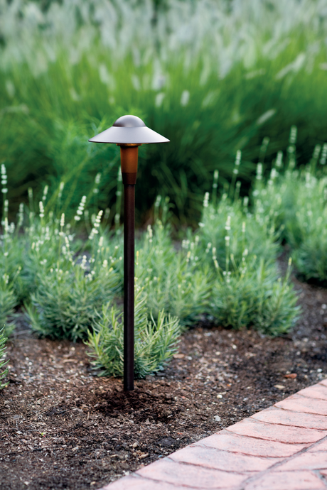Top-picks path light and accent light in garden