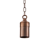 HL100 Hanging Light